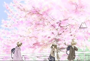 91版观看无需登录